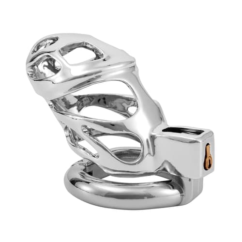 Penitentiary -  Zinc Alloy Chastity Cage with Triple Rings