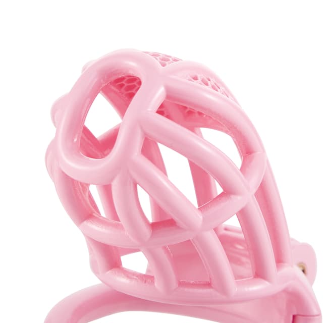 Pink Honeycomb - 3D Design Chastity Lock with Disposable Lock with Four Rings