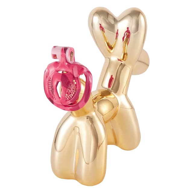 Pink Bird - 3D Design Chastity Cage with 4 Rings with Disposable Lock